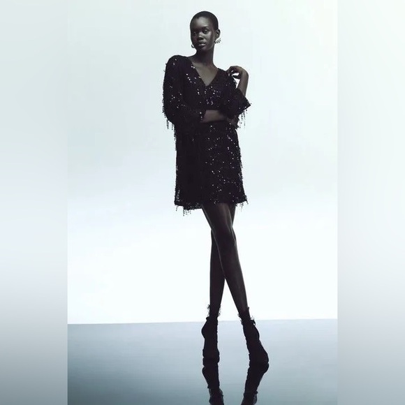 Zara FRINGED SEQUIN MINI DRESS. Black. Size S. New with Tags. - Picture 3 of 10